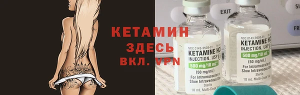 крисы Алзамай