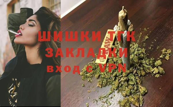 ешки Снежногорск