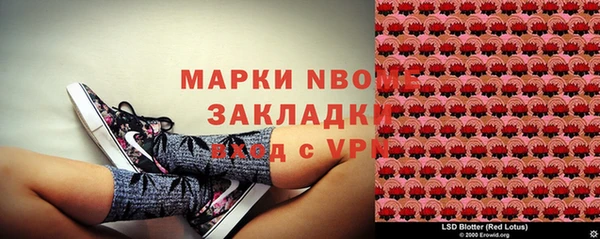 крисы Алзамай