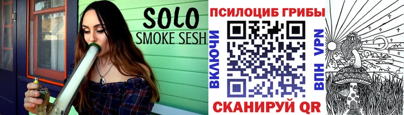 где можно купить   Бабушкин  Псилоцибиновые грибы Cubensis 